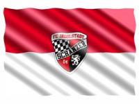 开云体育官方网站入口-弗莱堡主场失利，降级形势岌岌可危，弗莱堡足球俱乐部