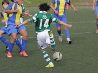 开yun官网-谢菲联主场战平狼队，难分胜负，谢菲联直播