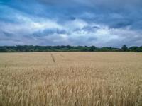 云开体育官网-冰岛挑战阿尔巴尼亚，胜者居上