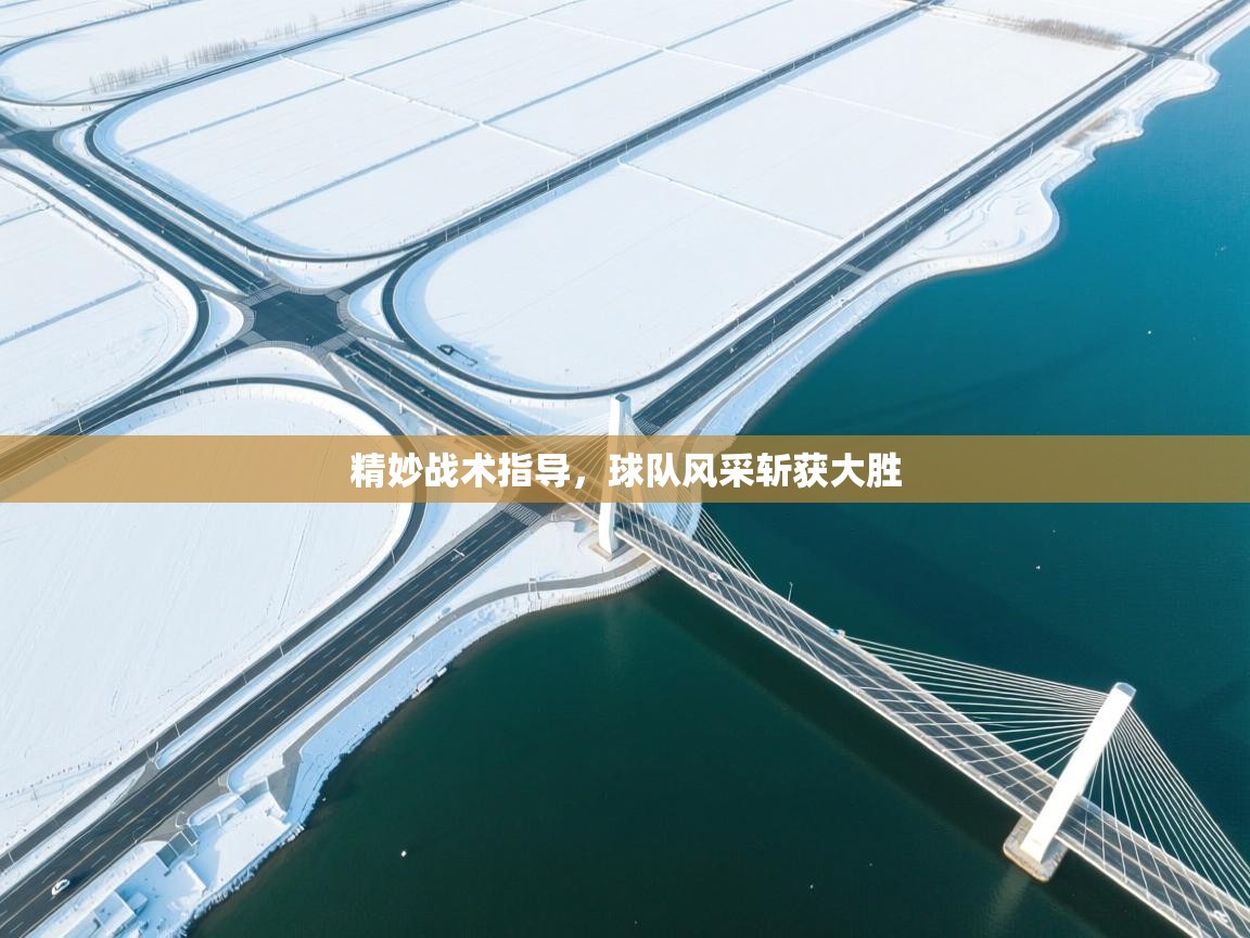 精妙战术指导,球队风采斩获大胜 第1张