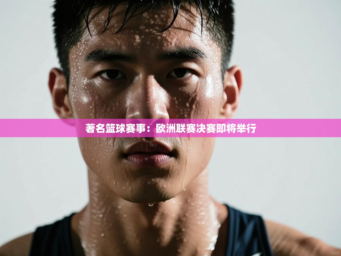 著名篮球赛事:欧洲联赛决赛即将举行 第1张